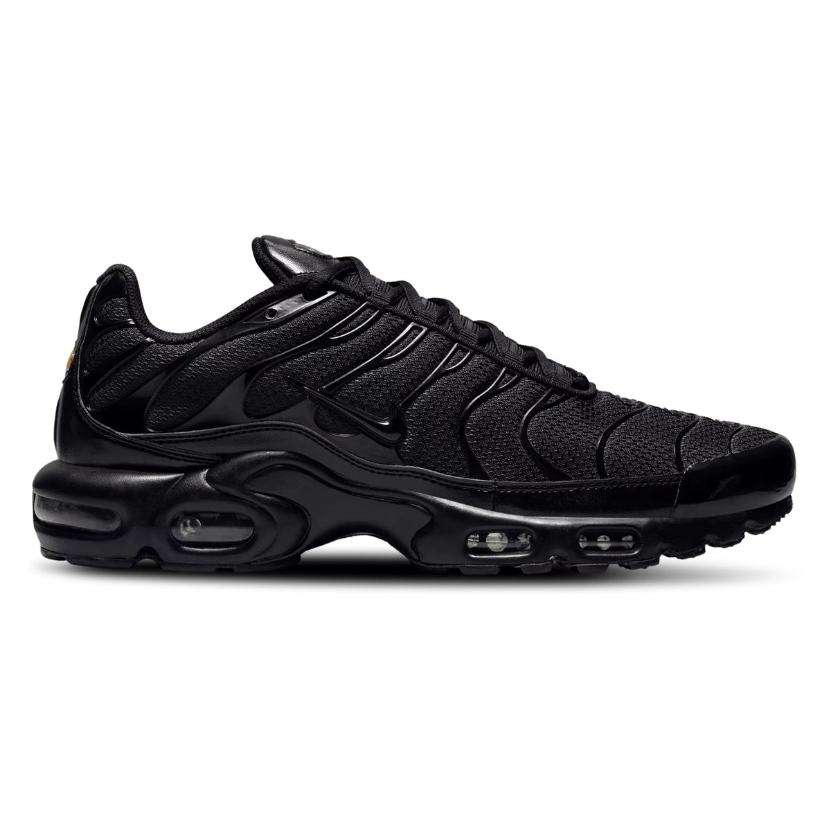 Nike Air Max Plus Black 604133-050