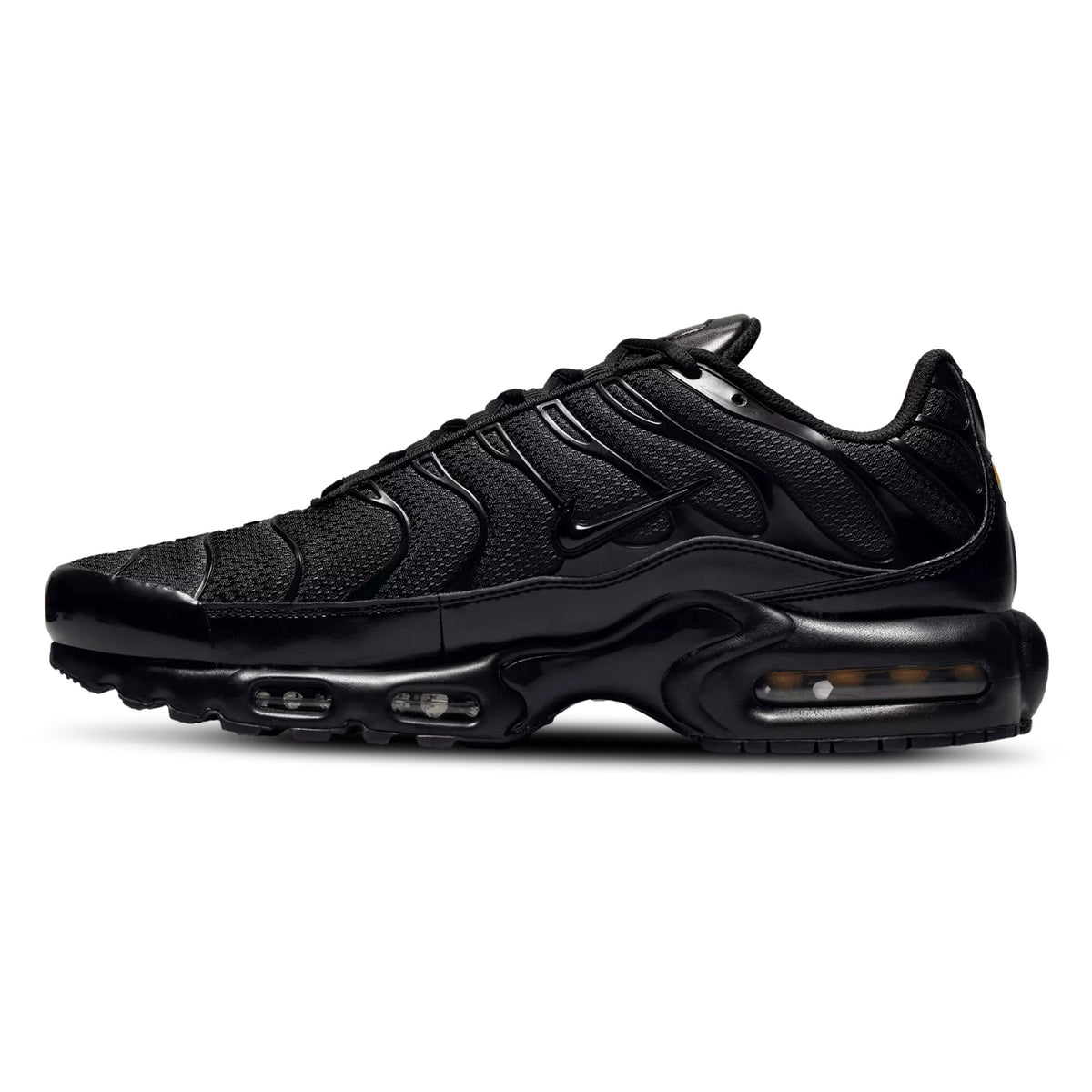 Nike Air Max Plus Black 604133-050