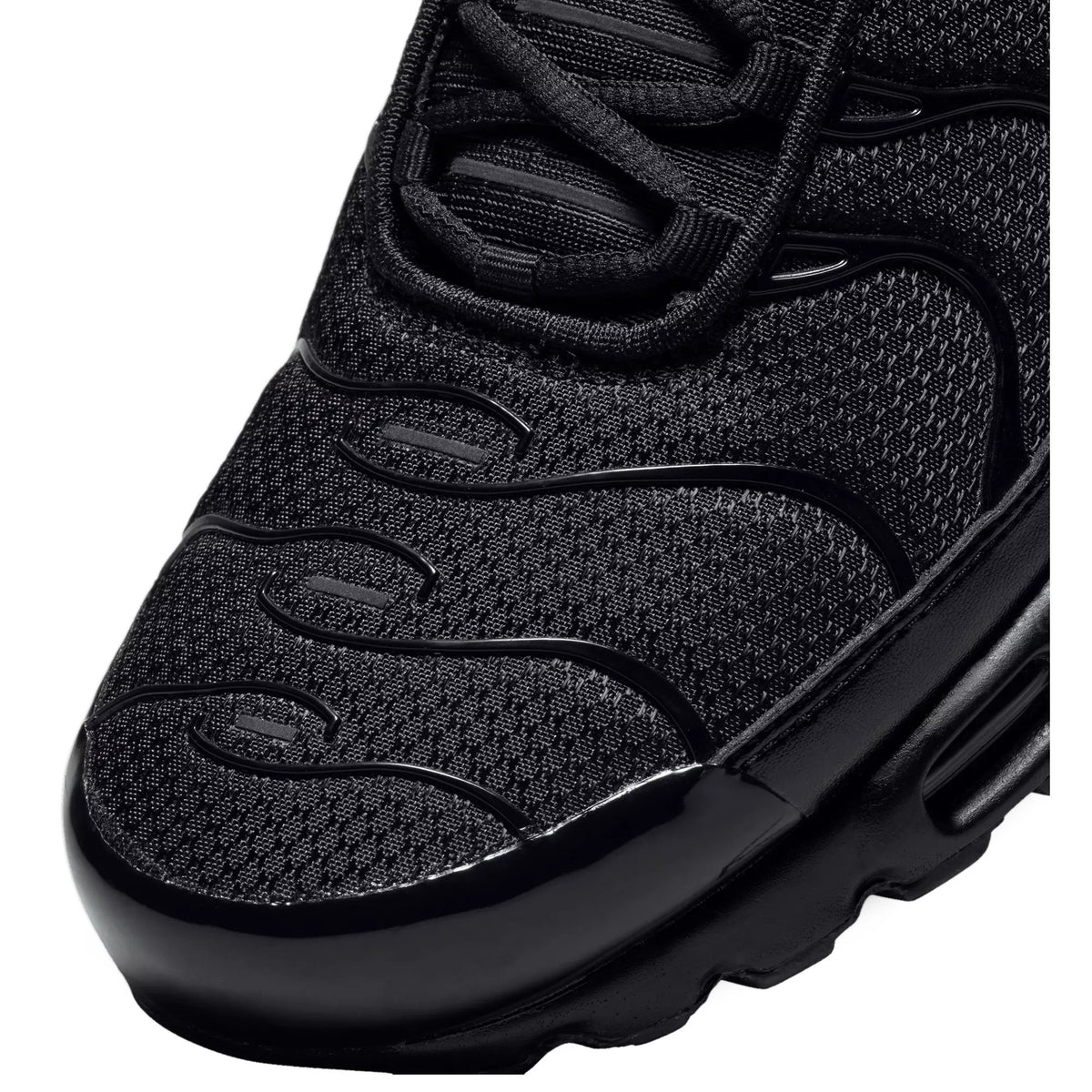 Nike Air Max Plus Black 604133-050