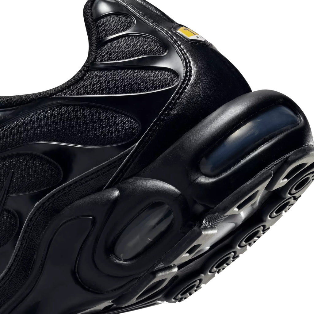 Nike Air Max Plus Black 604133-050