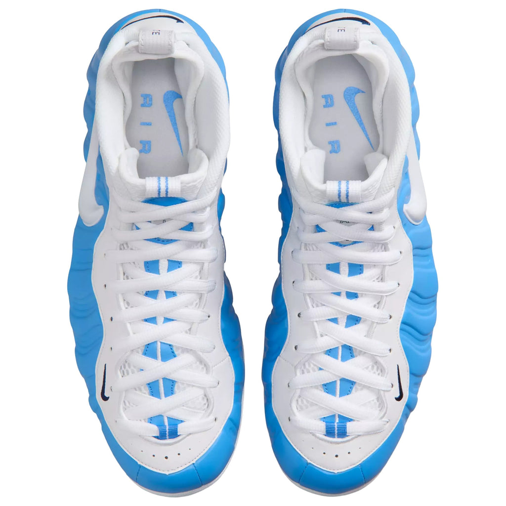 Nike Air Foamposite Pro Blue HF0794-400
