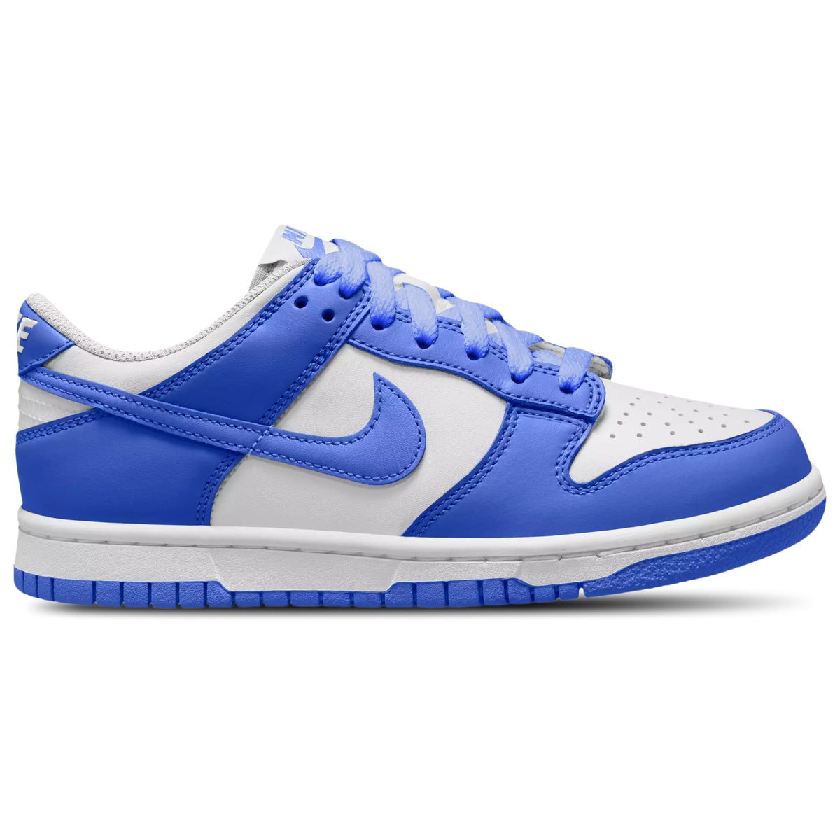 Nike Dunk Low Blue White FB9109-131