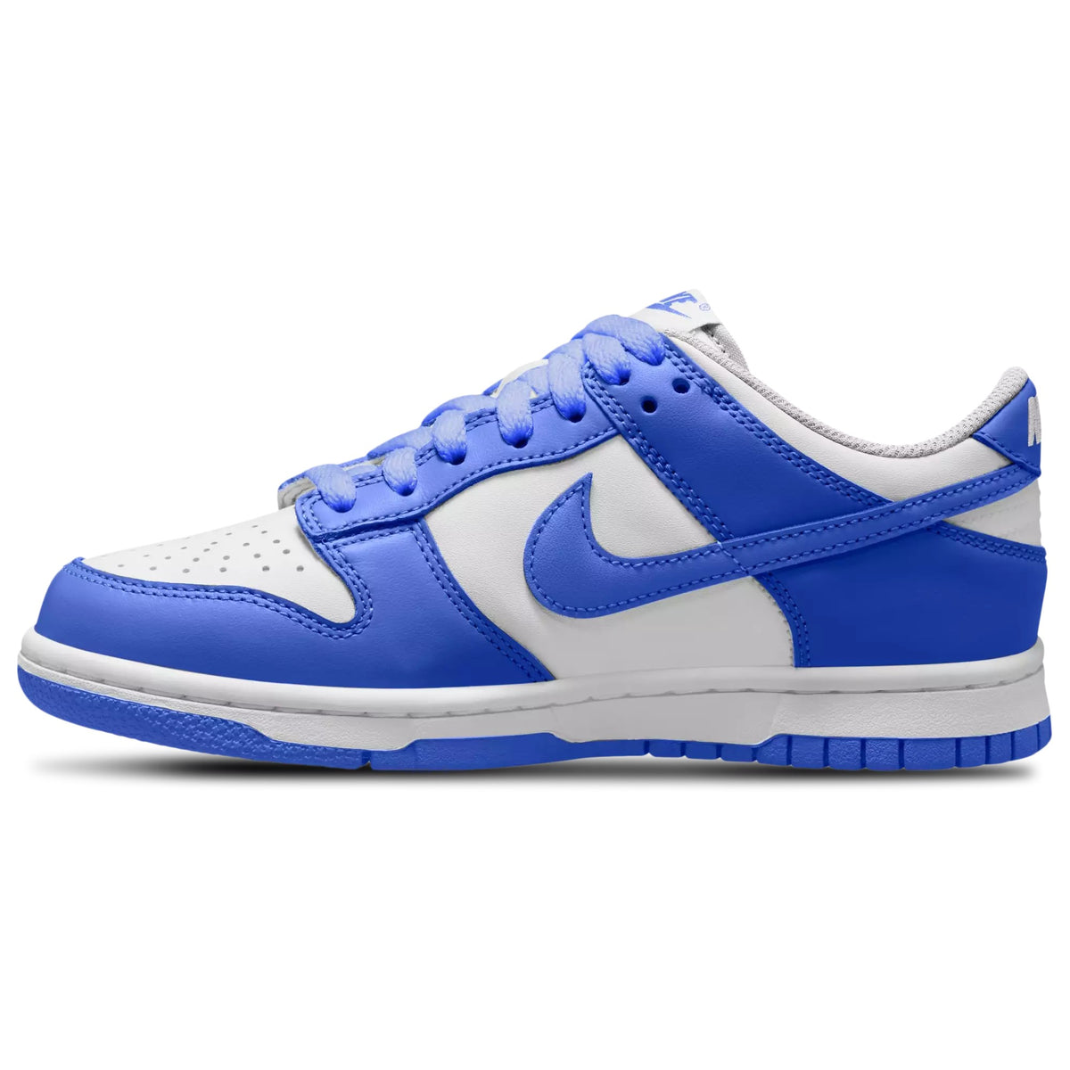 Nike Dunk Low Blue White FB9109-131