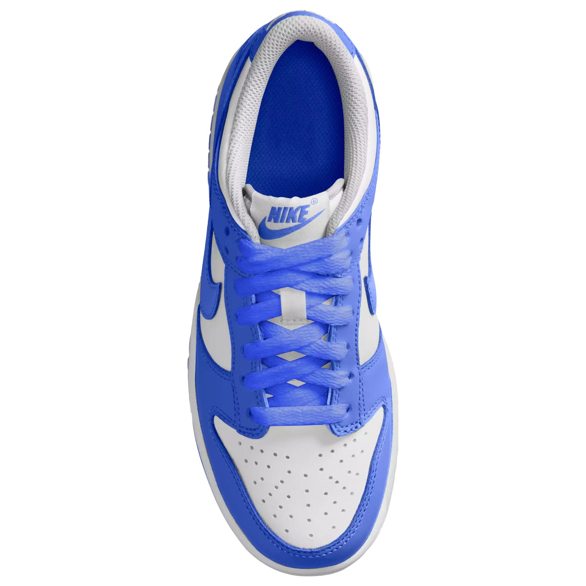 Nike Dunk Low Blue White FB9109-131