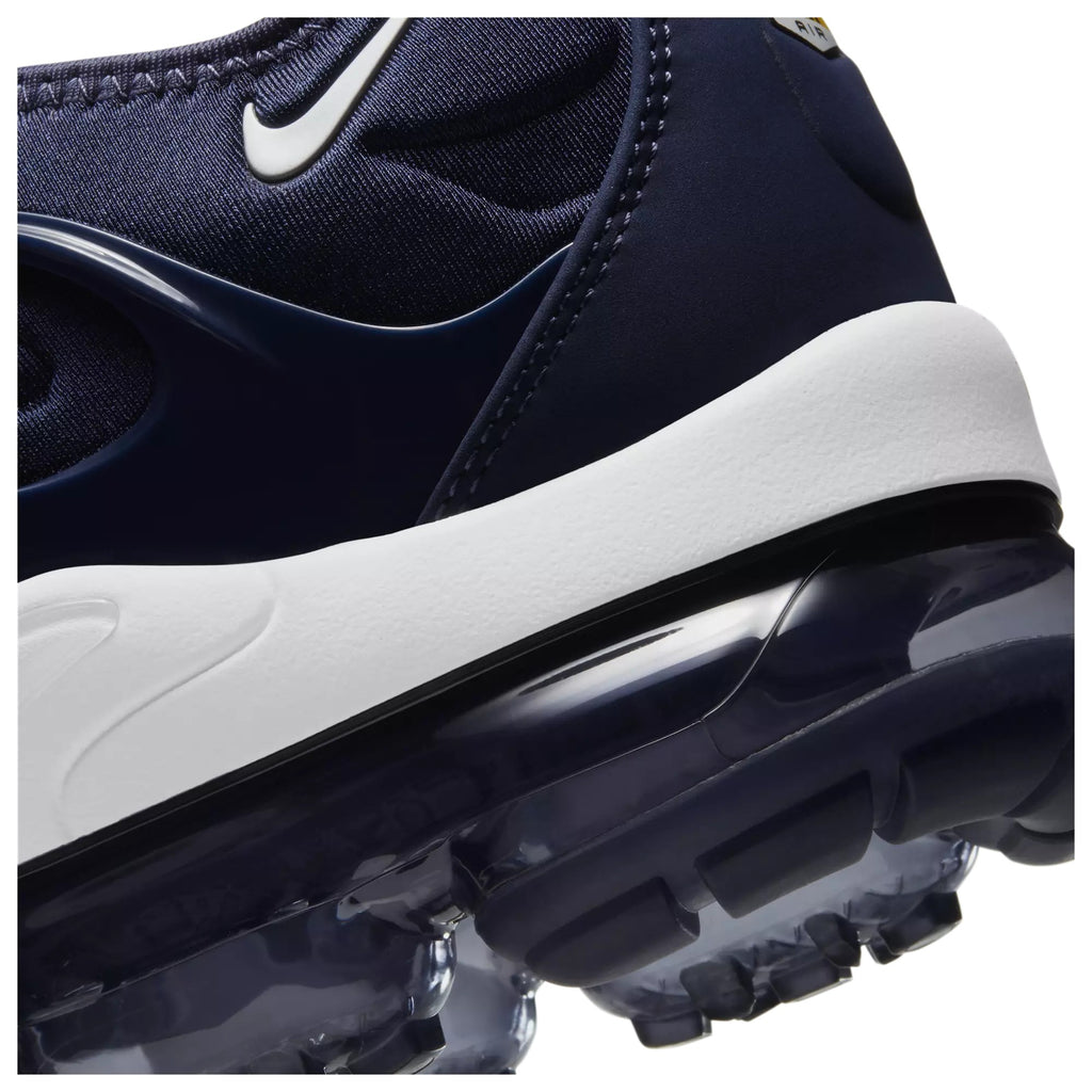 Nike Air VaporMax Plus Blue DH0611-400