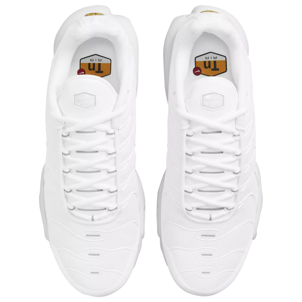 Nike Air Max Plus White DM2362-100