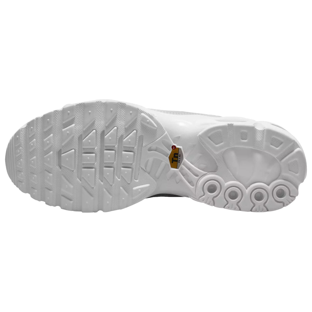 Nike Air Max Plus White DM2362-100