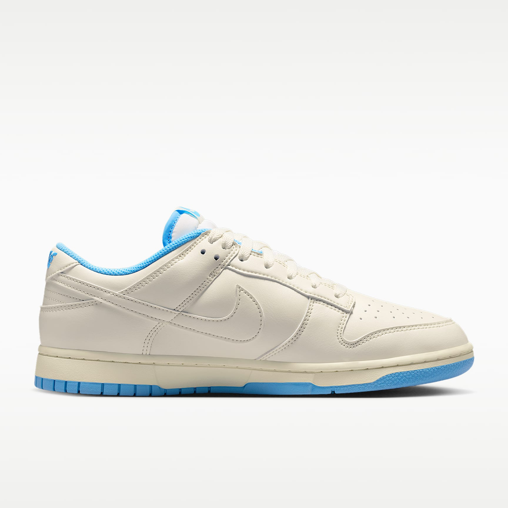 Nike Dunk Low Retro Sneakers HF5441-119