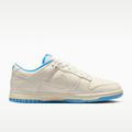 Nike Dunk Low Retro Sneakers HF5441-119