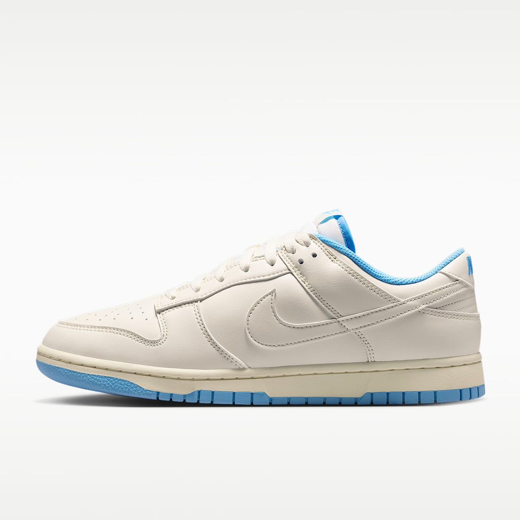 Nike Dunk Low Retro Sneakers HF5441-119