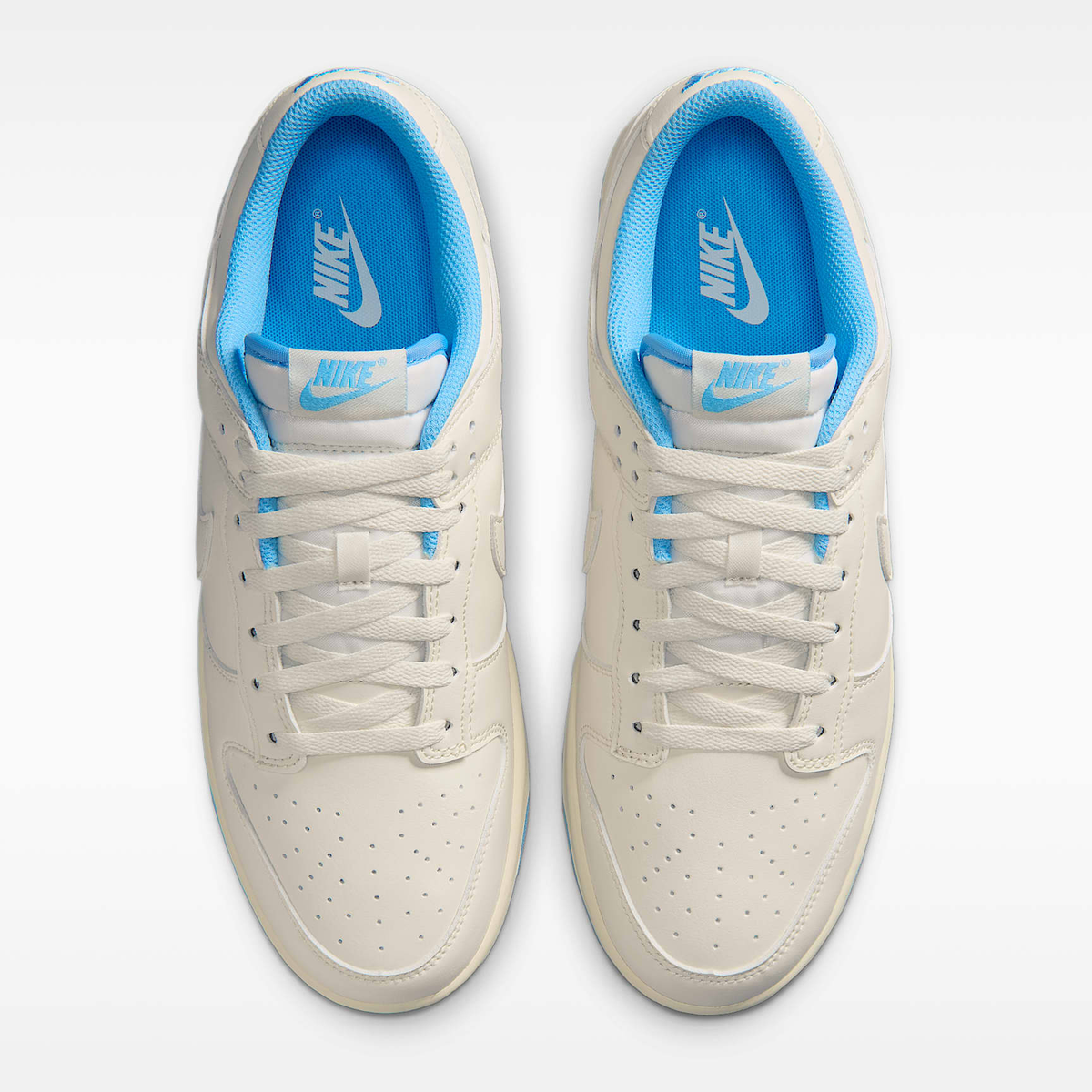 Nike Dunk Low Retro Sneakers HF5441-119