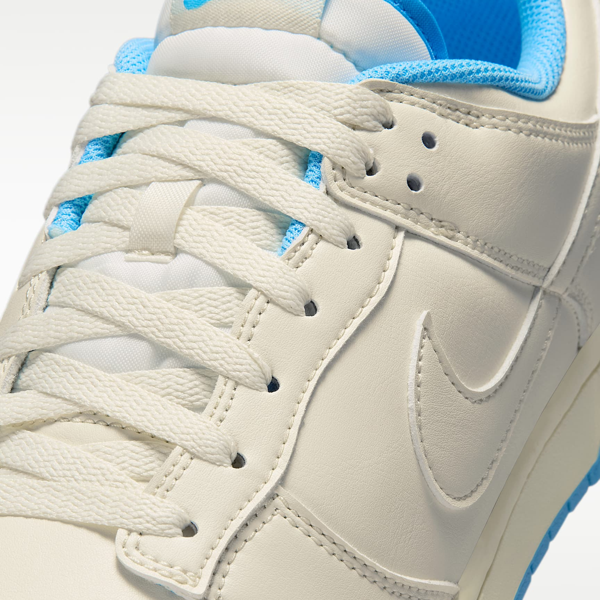 Nike Dunk Low Retro Sneakers HF5441-119