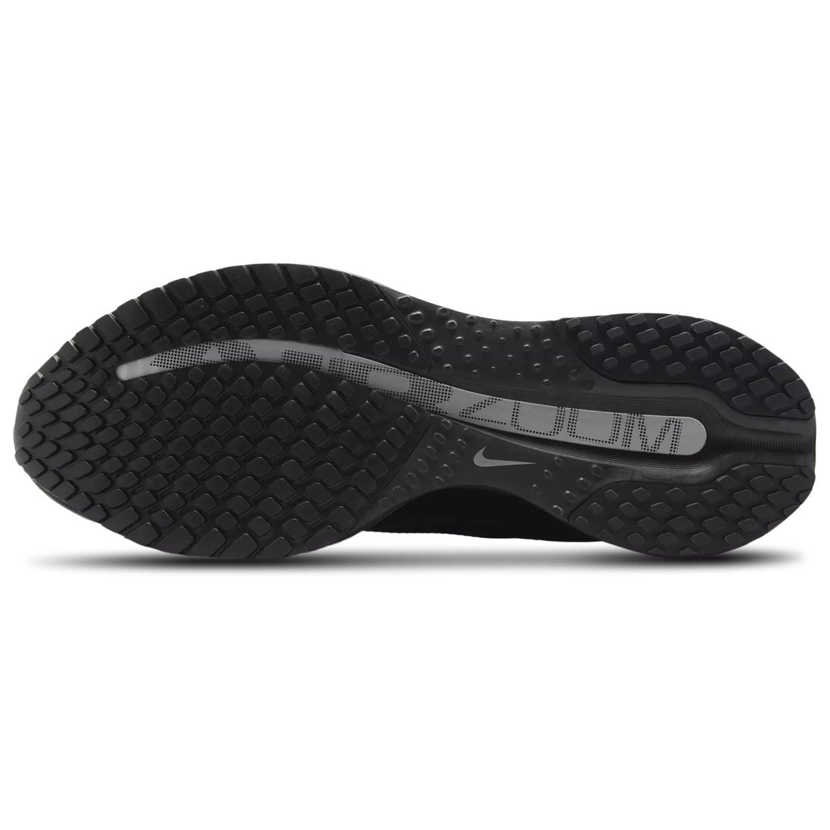 Nike Pegasus Premium Cushioned Running Shoes HQ2592-005