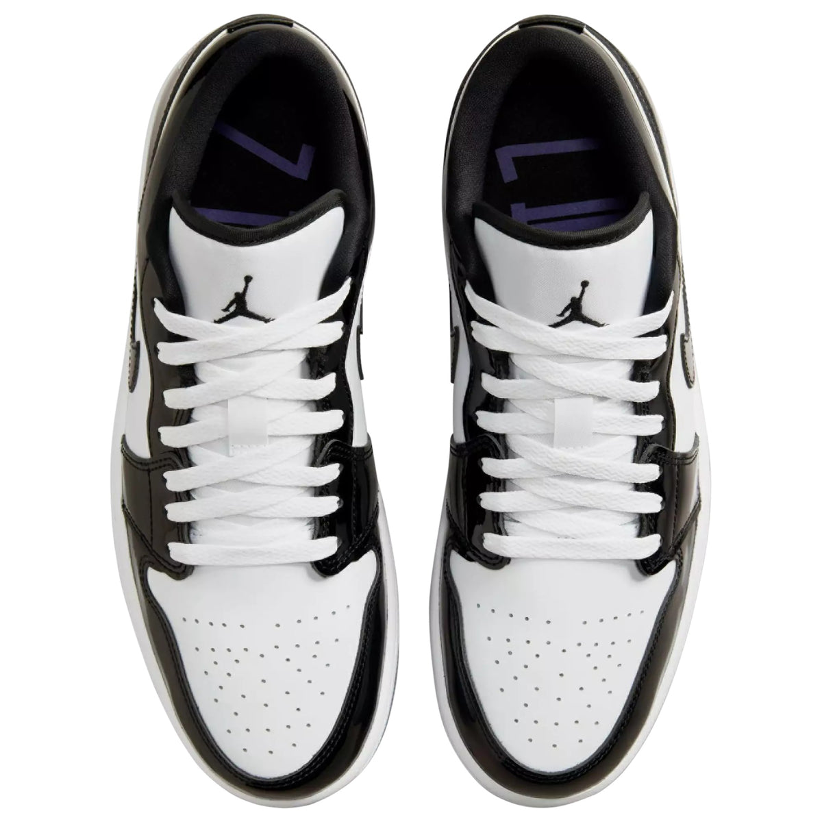 Air Jordan 1 Low SE DV1309-100