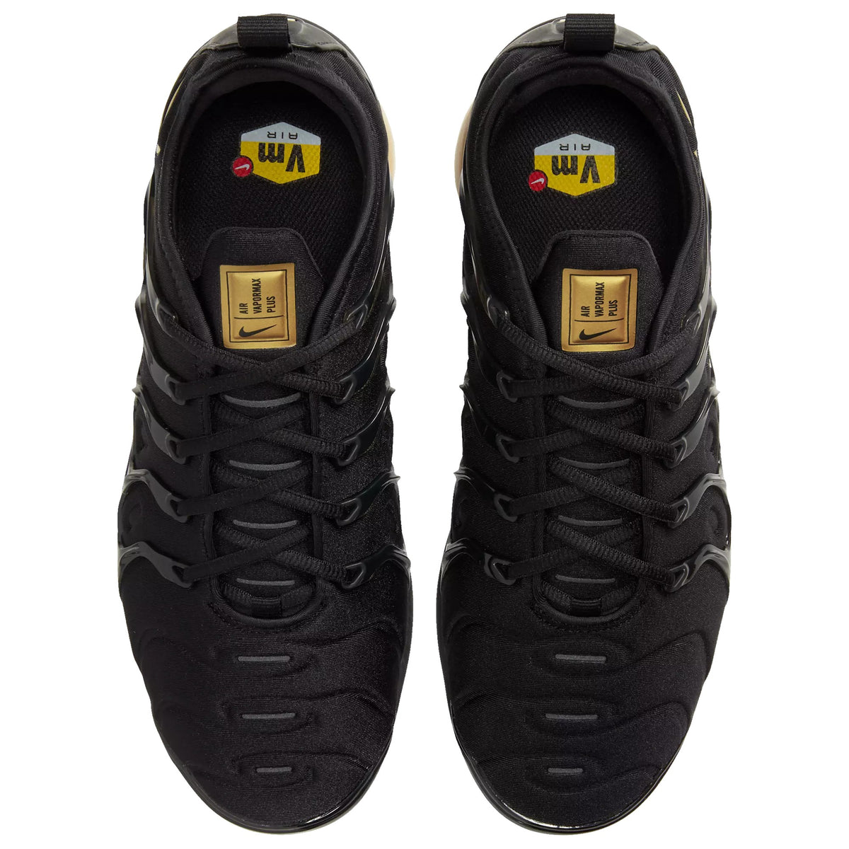 Nike Air VaporMax Plus Black CW7299-001